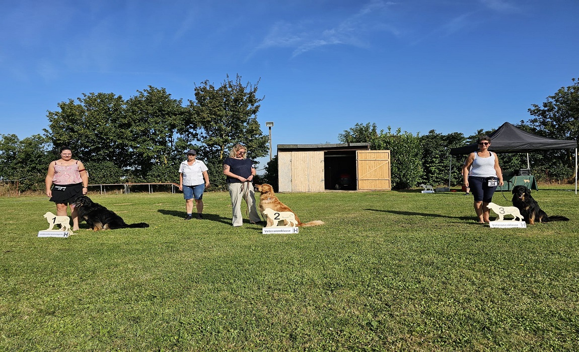 Veteranen Huendin