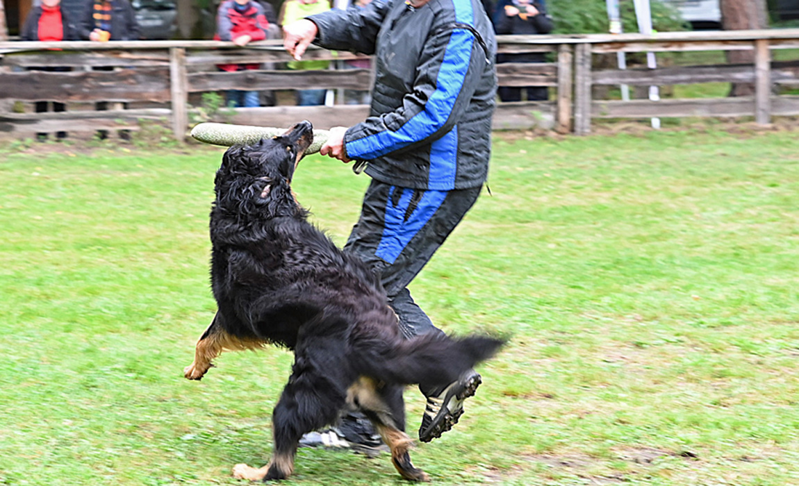 Aron vom Vilsfeld 