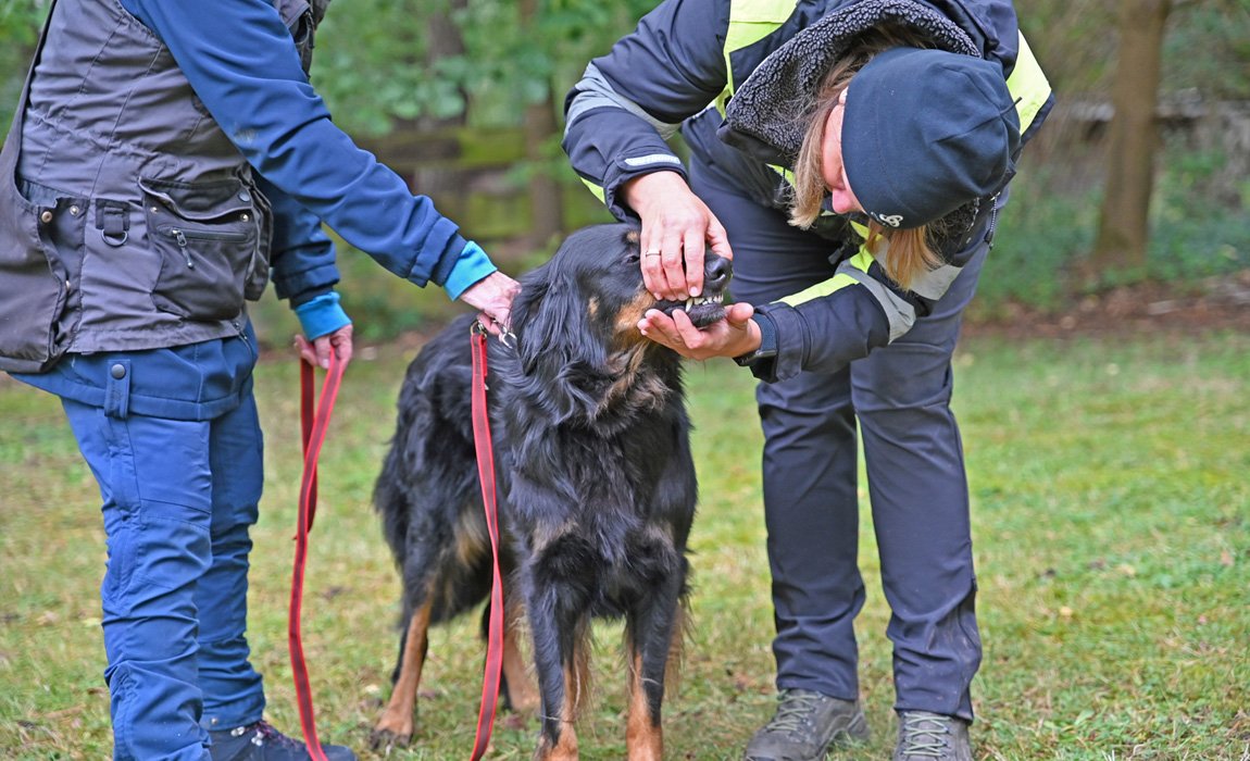 Tammy aus dem Emsland - Zähne zeigen